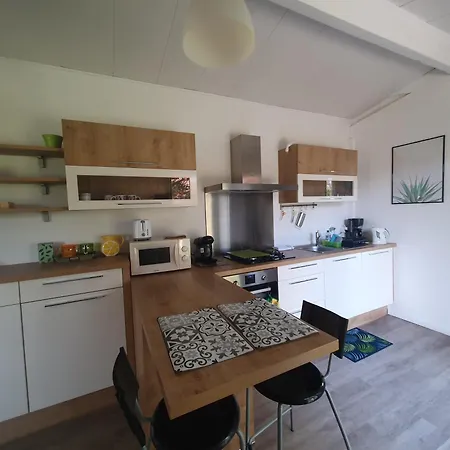 Avec Jardin-proche Ldlc-groupama Stadium-eurexpo-metro Tatil Evi