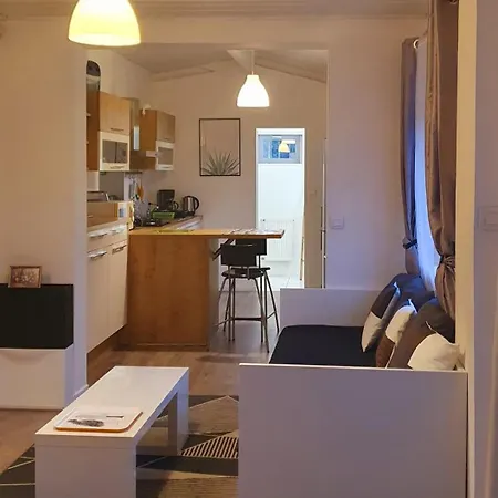 Casa vacanze Studio avec jardin-Proche LDLC-Groupama Stadium-Eurexpo-métro